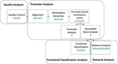 Profiling Genome-Wide DNA Methylation Patterns in Human Aortic and Mitral Valves